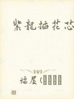 紫龙插花芯方正