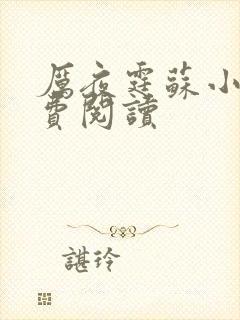 厉夜霆苏小汐免费阅读