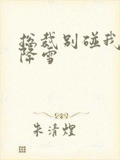 总裁别碰我 韩降雪