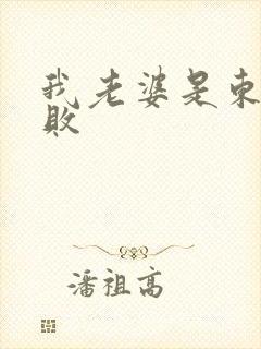 我老婆是东方不败