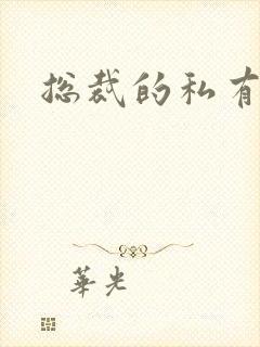 总裁的私有宝贝封面