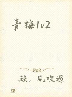 青梅1v2