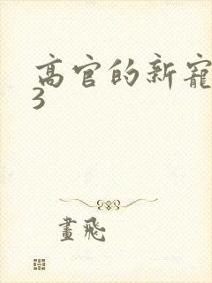 高官的新宠1V3封面