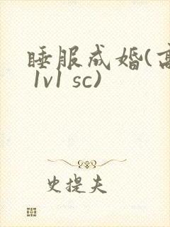 睡服成婚(高h 1v1 sc)