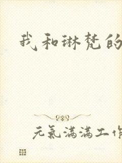 我和琳梵的故事
