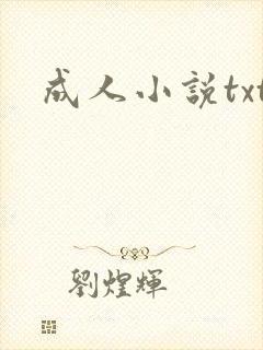 成人小说txt