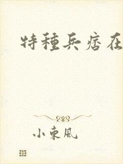 特种兵痞在都市封面