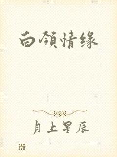 白领情缘