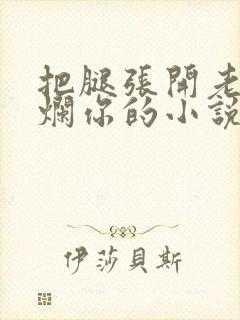 把腿张开老子臊烂你的小说