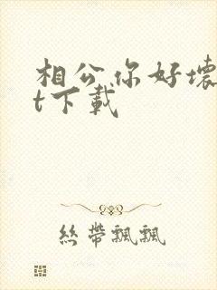相公你好坏txt下载