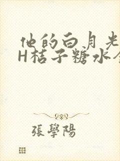 他的白月光HVH桔子糖水全文