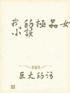 我的极品女老师小说