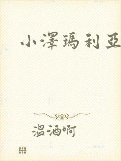 小泽玛利亚作品