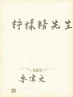 柠檬精先生封面