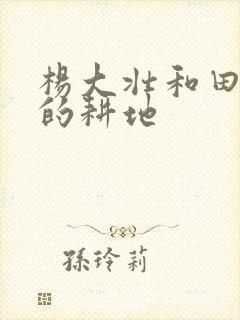 杨大壮和田桂花的耕地