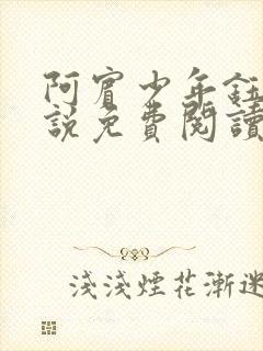 阿宾少年钰慧小说免费阅读笔趣阁