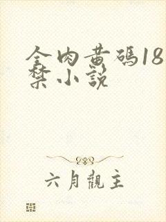 全肉黄码18无禁小说封面