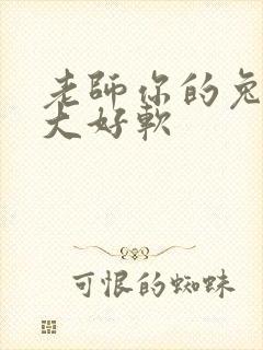 老师你的兔子好大好软