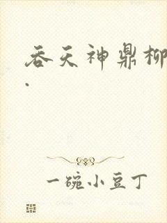 吞天神鼎柳无邪.