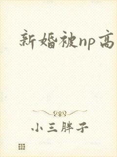 新婚被np高h