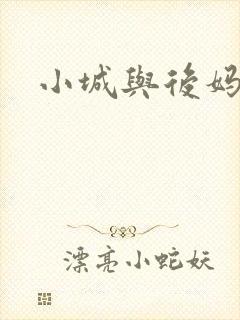 小城与后妈封面