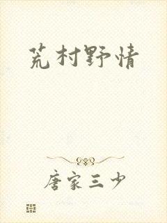 荒村野情封面