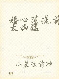 婚心荡漾,前夫太凶猛