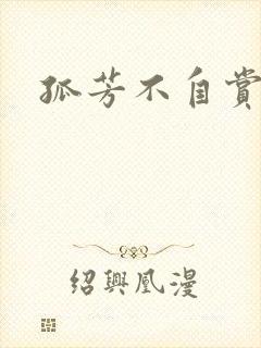 孤芳不自赏小说