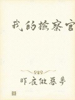 我的检察官先生