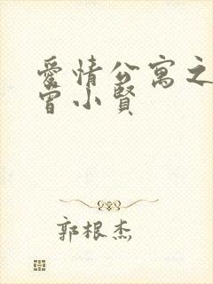 爱情公寓之极品曾小贤封面