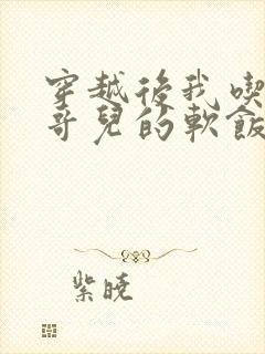 穿越后我吃到了哥儿的软饭炉山灰