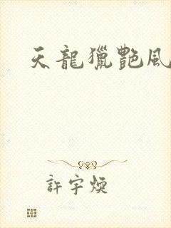 天龙猎艳风流