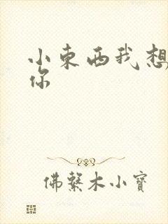 小东西我想弄坏你