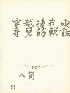 穿越后我吃到了哥儿的软饭炉山灰封面