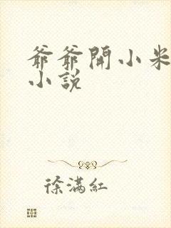 爷爷开小米的包小说