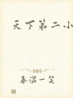天下第二小说