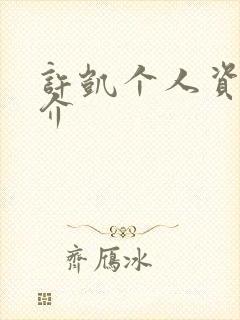 许凯个人资料简介