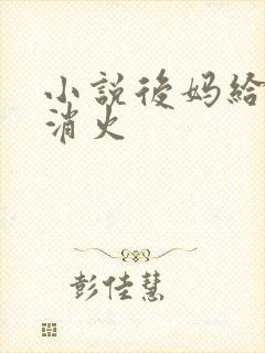 小说后妈给我消消火