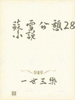 苏雪公憩28篇小说封面
