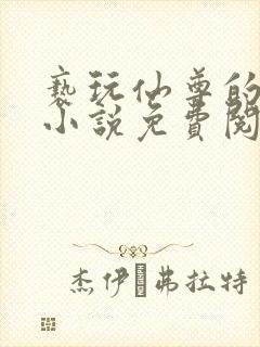 亵玩仙尊的道侣小说免费阅读