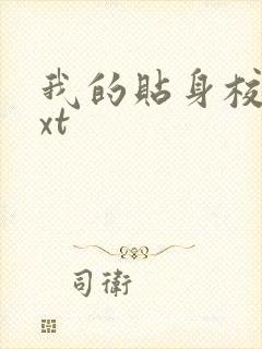 我的贴身校花txt封面