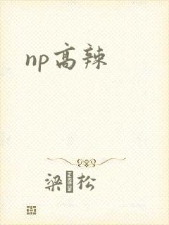 np高辣