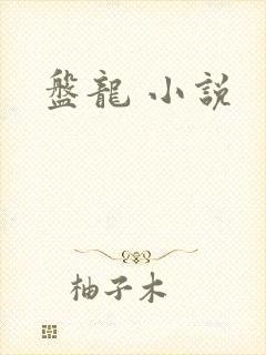 盘龙 小说