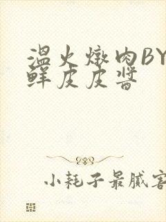 温火炖肉BY海鲜皮皮酱