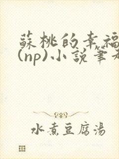 苏桃的幸福生活(np)小说笔趣阁沐沐