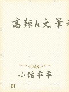 高辣h文笔趣阁