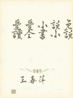 爱爱小说免费阅读全书小说乡村封面