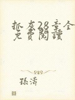 抓灰28章全部免费阅读