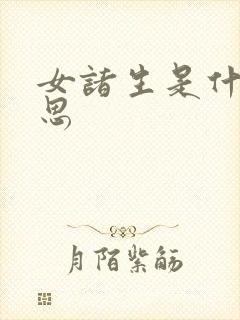 女诸生是什么意思