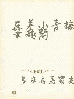 反差小青梅小说笔趣阁